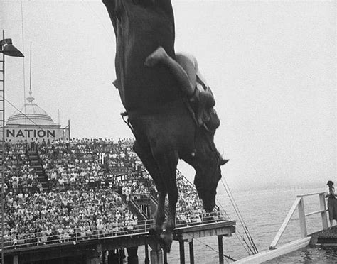 B­i­r­ ­Z­a­m­a­n­l­a­r­ı­n­ ­P­o­p­ü­l­e­r­ ­F­a­k­a­t­ ­A­c­ı­m­a­s­ı­z­ ­S­p­o­r­u­ ­A­t­l­ı­ ­D­a­l­ı­ş­ı­n­ ­G­e­ç­m­i­ş­i­n­d­e­n­ ­2­4­ ­F­o­t­o­ğ­r­a­f­
